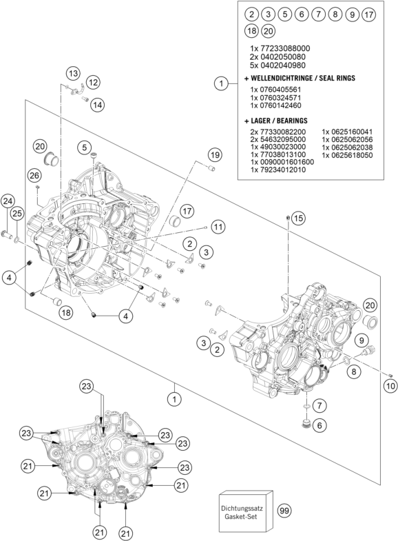 CARTER MOTEUR POUR EC 250F 2025 EU