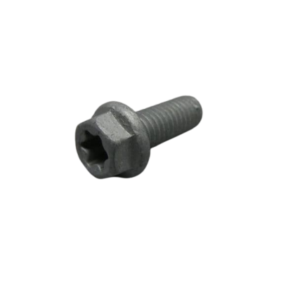 HH collar screw M6x16 TX30